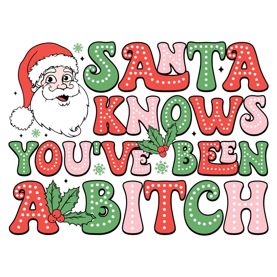 Santa Knows You've Been a Bitch Design